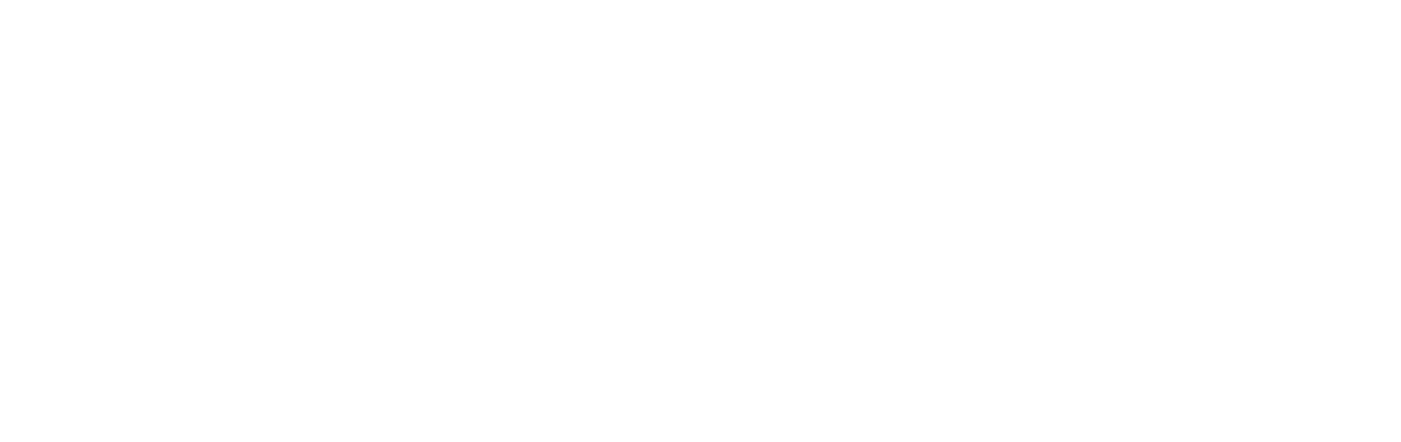 diario-portal-logo