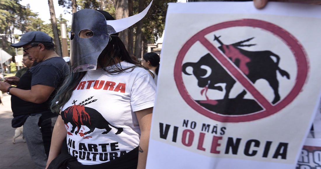 activistas-en-defensa-de-los-animales-se-oponen-a-corrida-de-toros-guadalupana