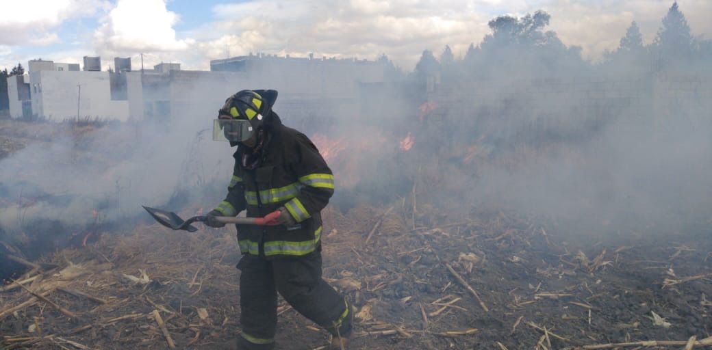 Sofocan Bomberos de Toluca 137 incendios en pastizales
