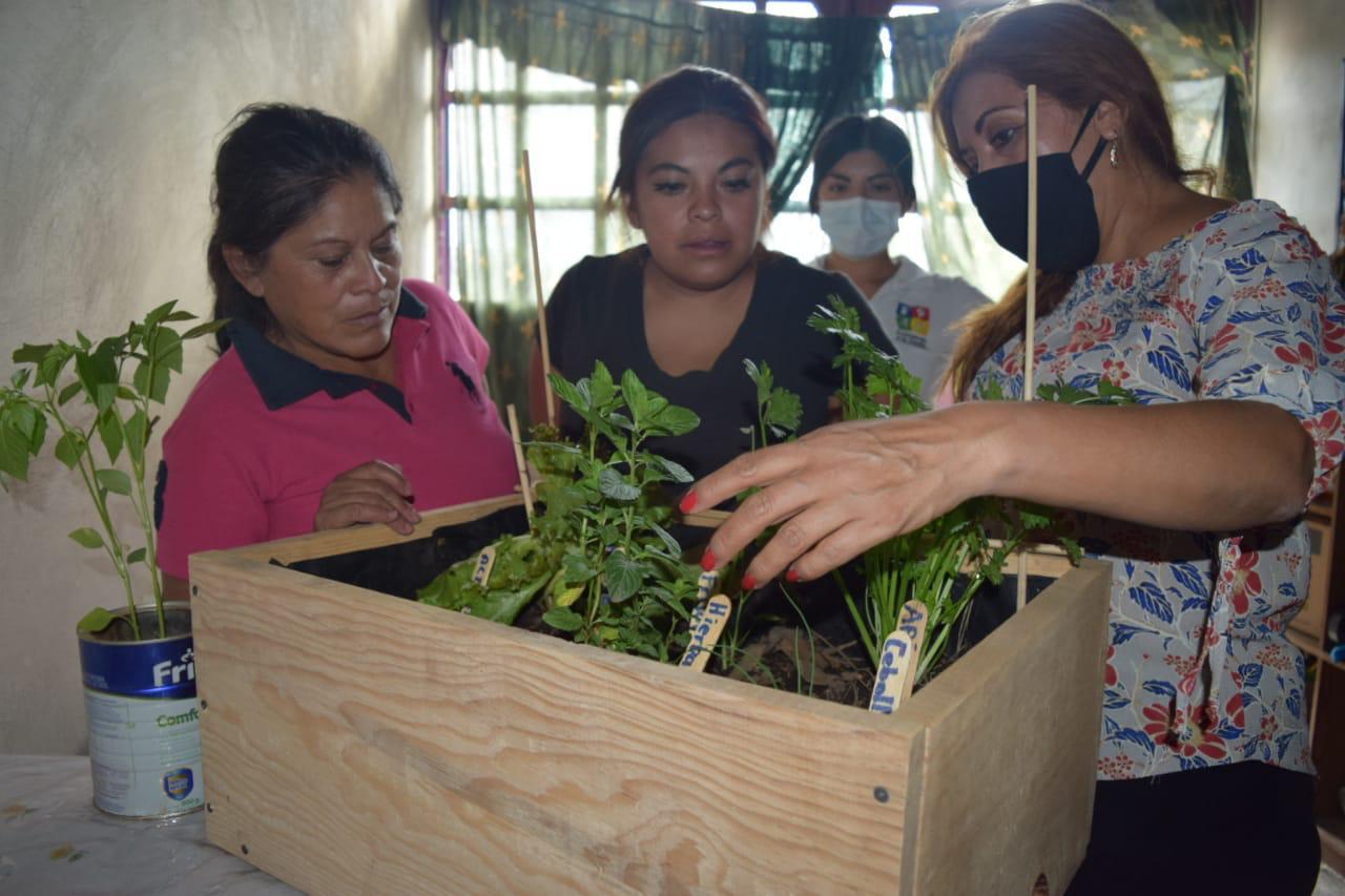 Programa “Yo tengo un huerto” entrega apoyo sustentable a habitantes de Chalco