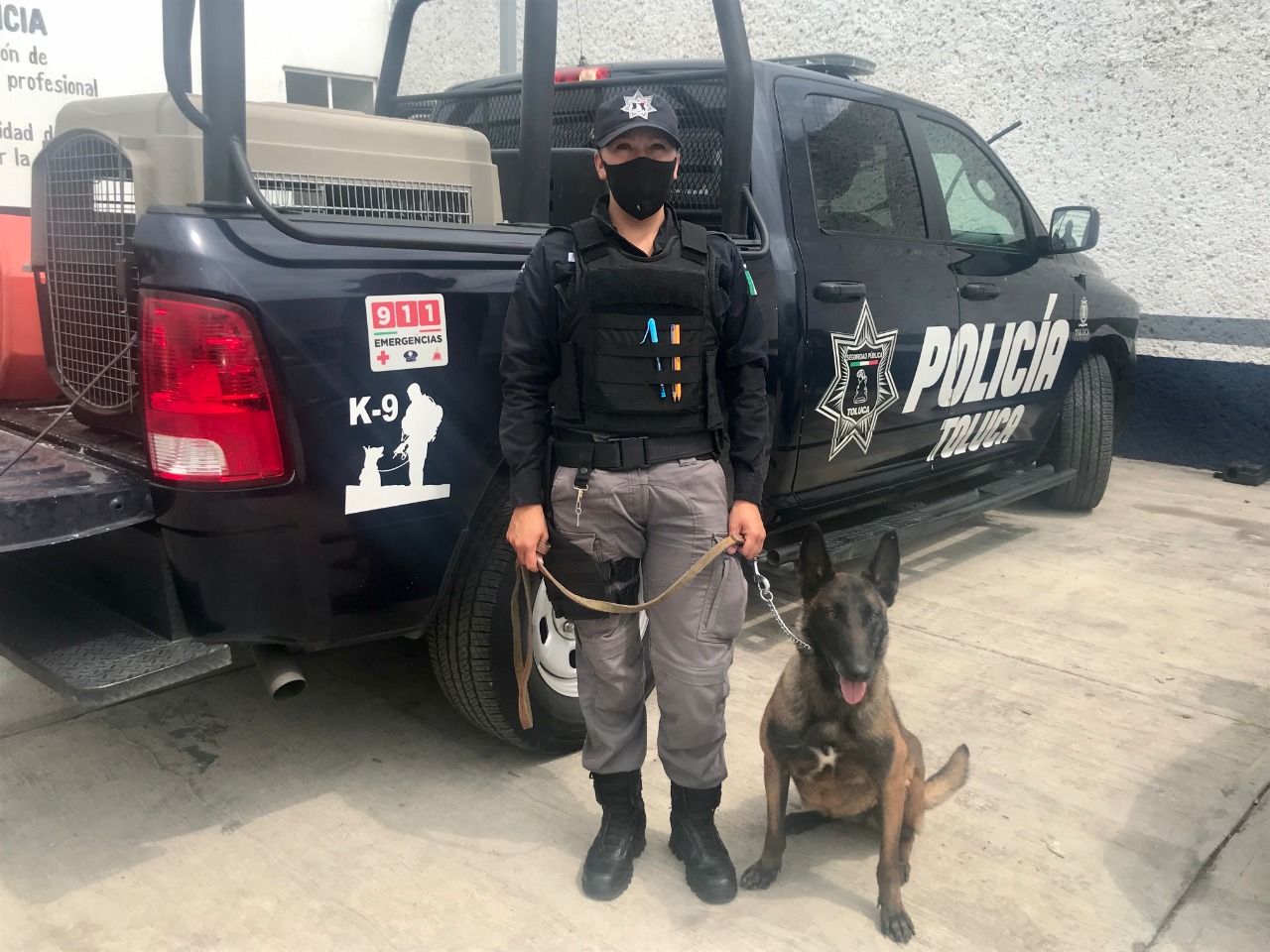 Realiza agrupamiento canino de Toluca 17 detenciones por diversos delitos