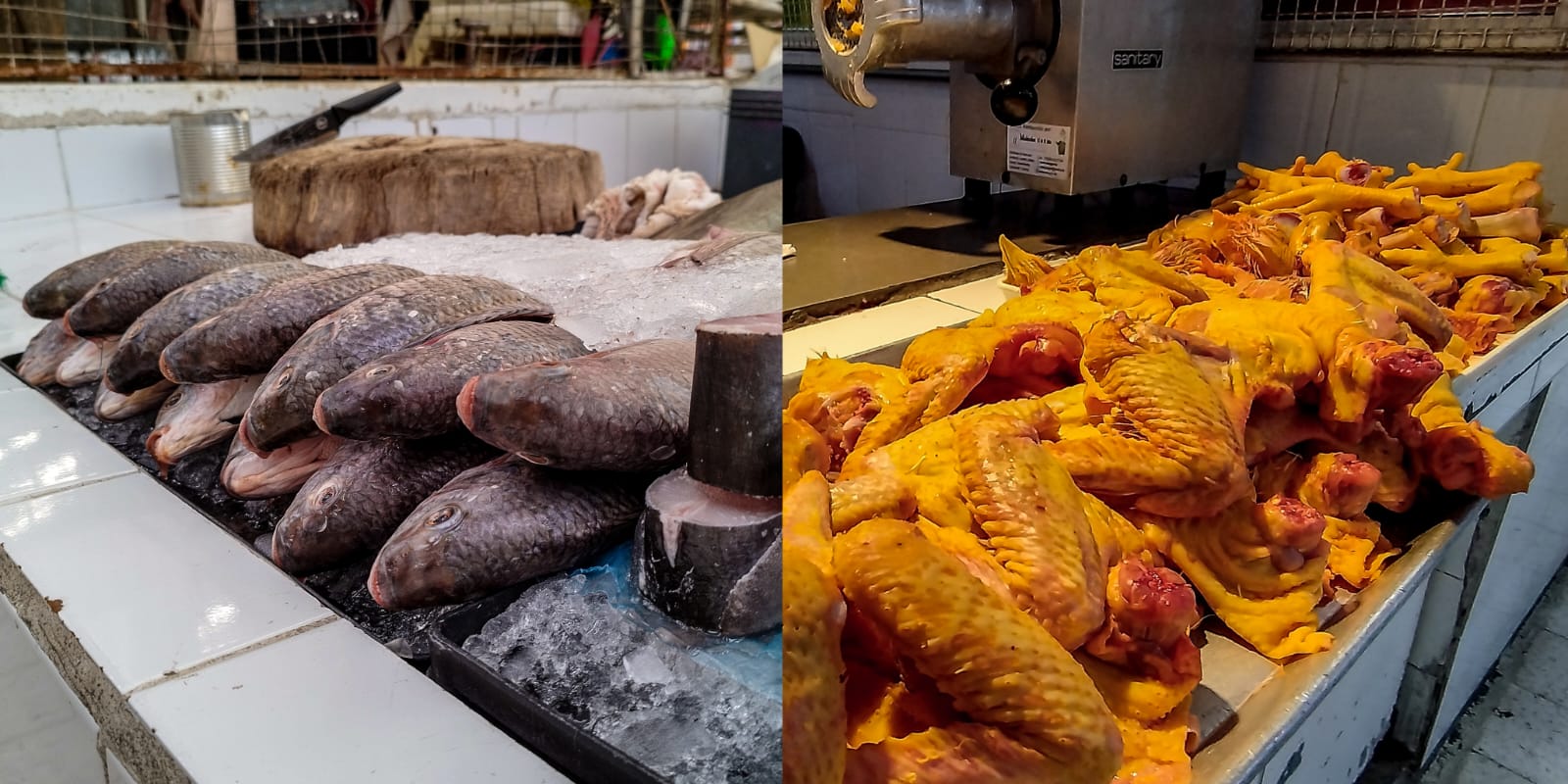 Por cueresma, suben ventas de pescados y mariscos, pero bajan las de pollo:  comerciantes - Diario Portal
